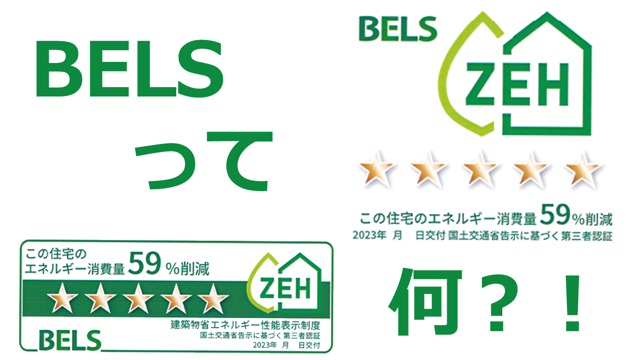 BELS（ベルス）って？